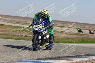 media/Feb-21-2025-Lets Ride (Fri) [[f483f33afd]]/A Group/1220pm (Wheelie BUmp)/